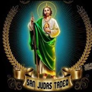 Meet your Posher, Franky